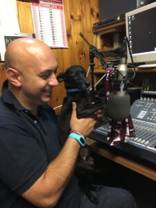 Stefano_Venneri_gallery52