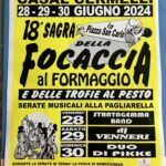 Stefano_Venneri_press_gallery03